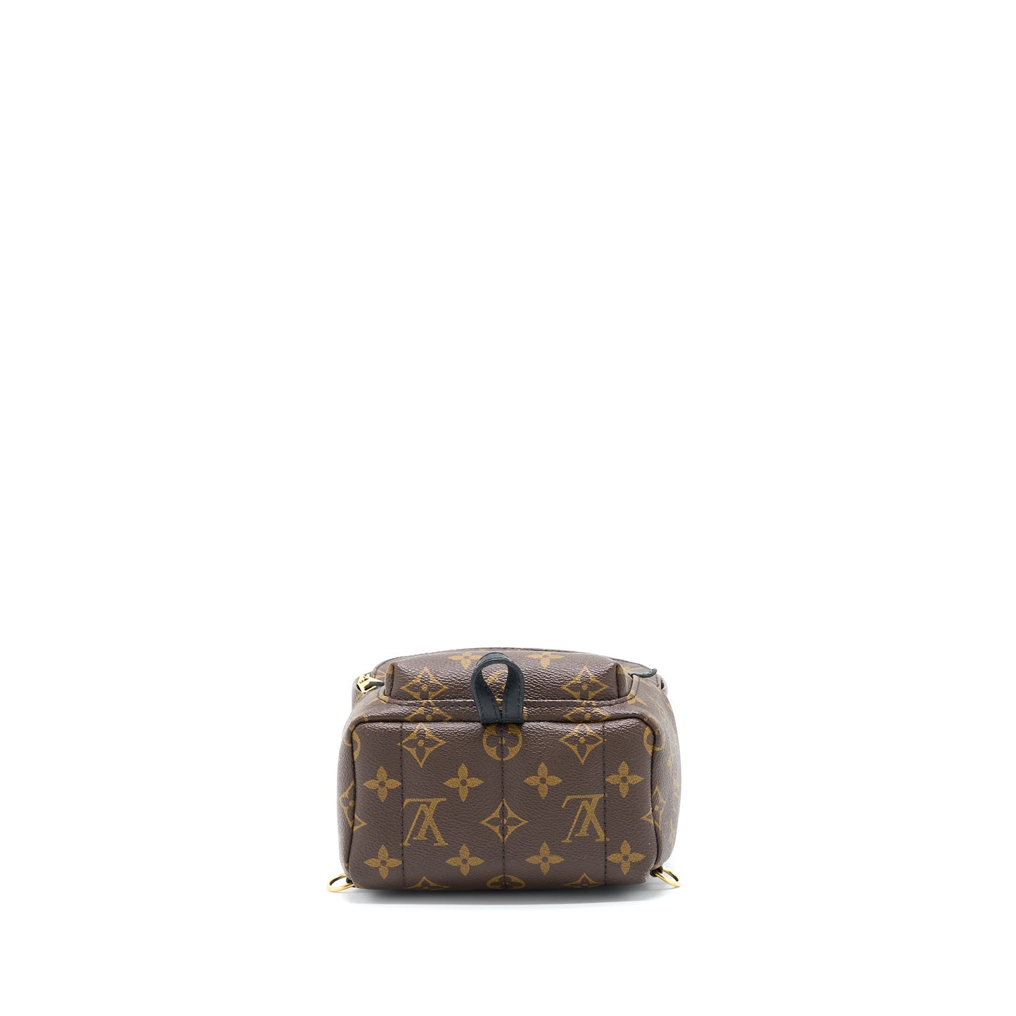 Louis Vuitton Palm Spring Mini Backpack Monogram Canvas