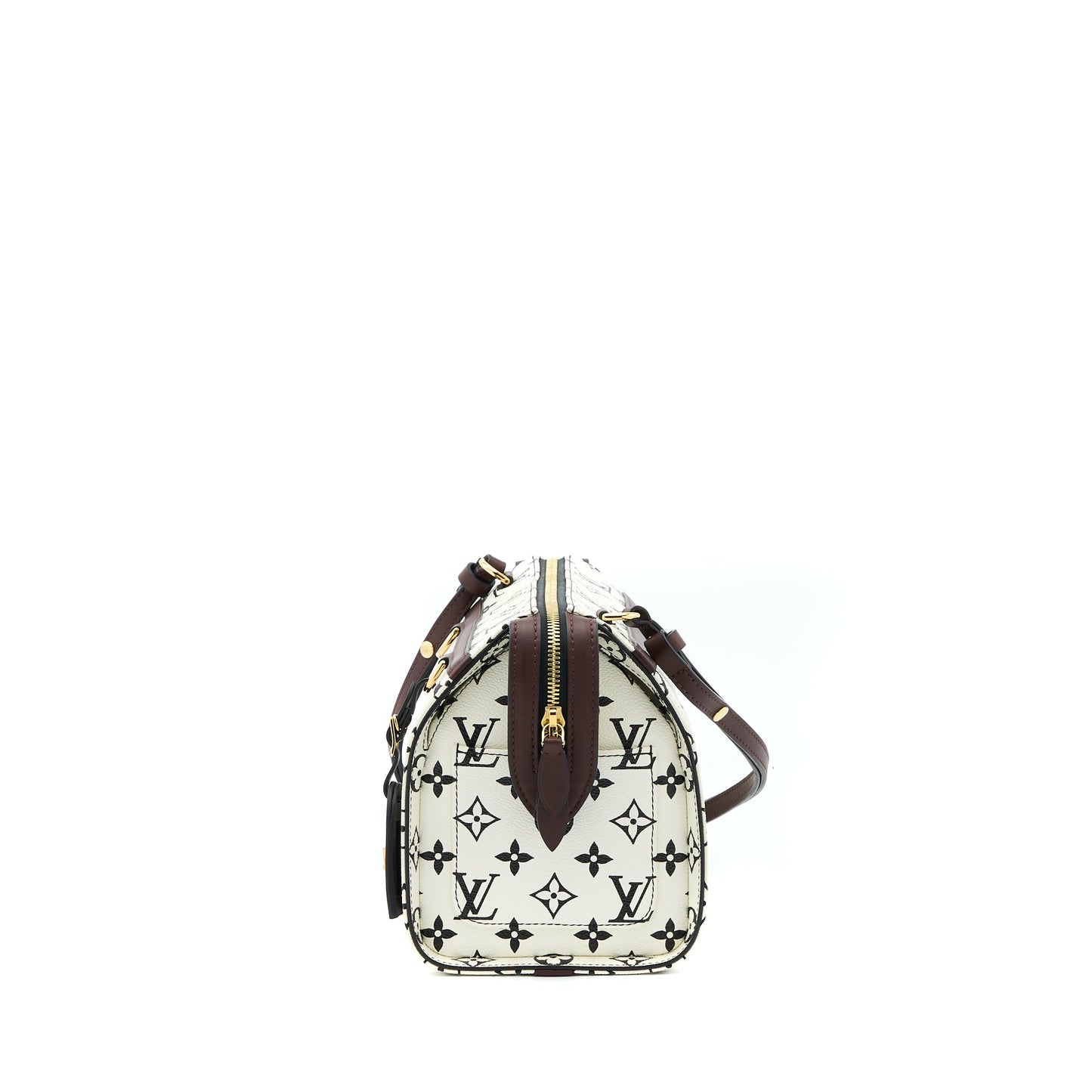 Louis Vuitton Speedy Amazon Purse Monogram Canvas Multicoloured