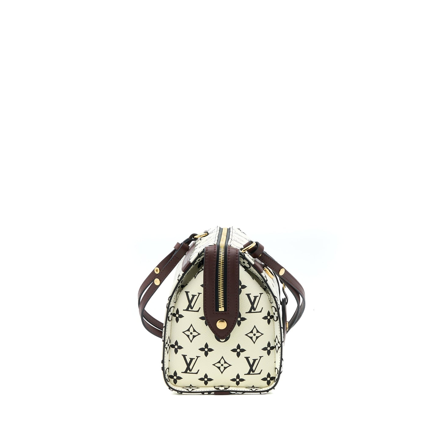 Louis Vuitton Speedy Amazon Purse Monogram Canvas Multicoloured