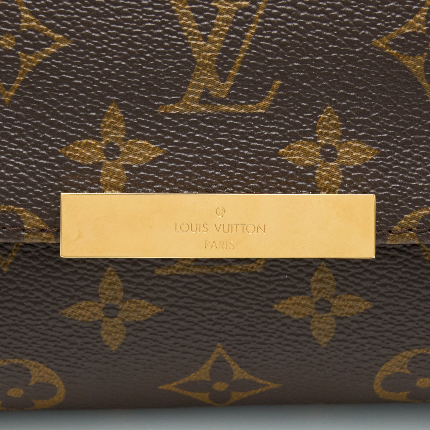 Louis Vuitton Monogram Favorite Monogram Canvas