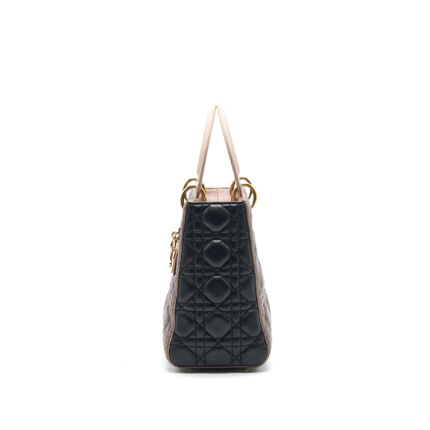 Dior Medium Lady Dior Bag Multi Color