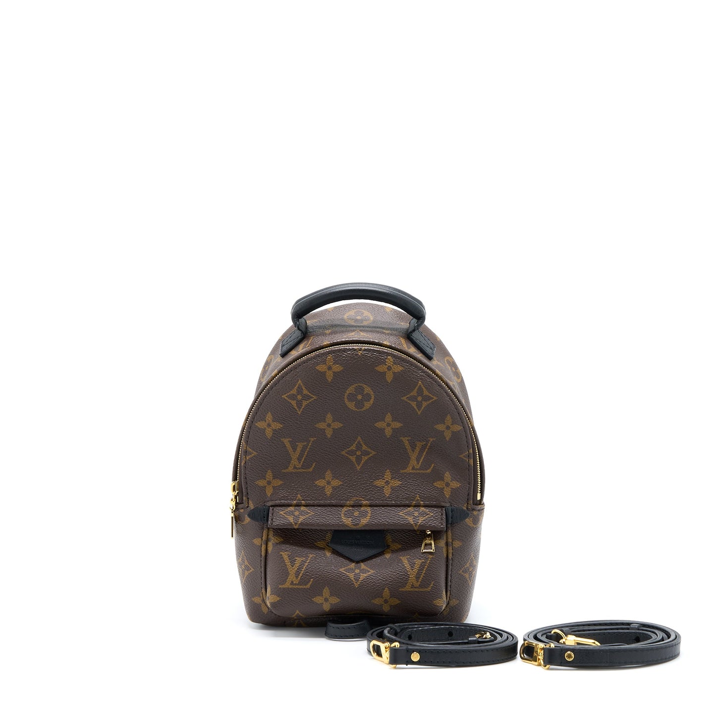 Louis Vuitton Palm Spring Mini Backpack Monogram Canvas