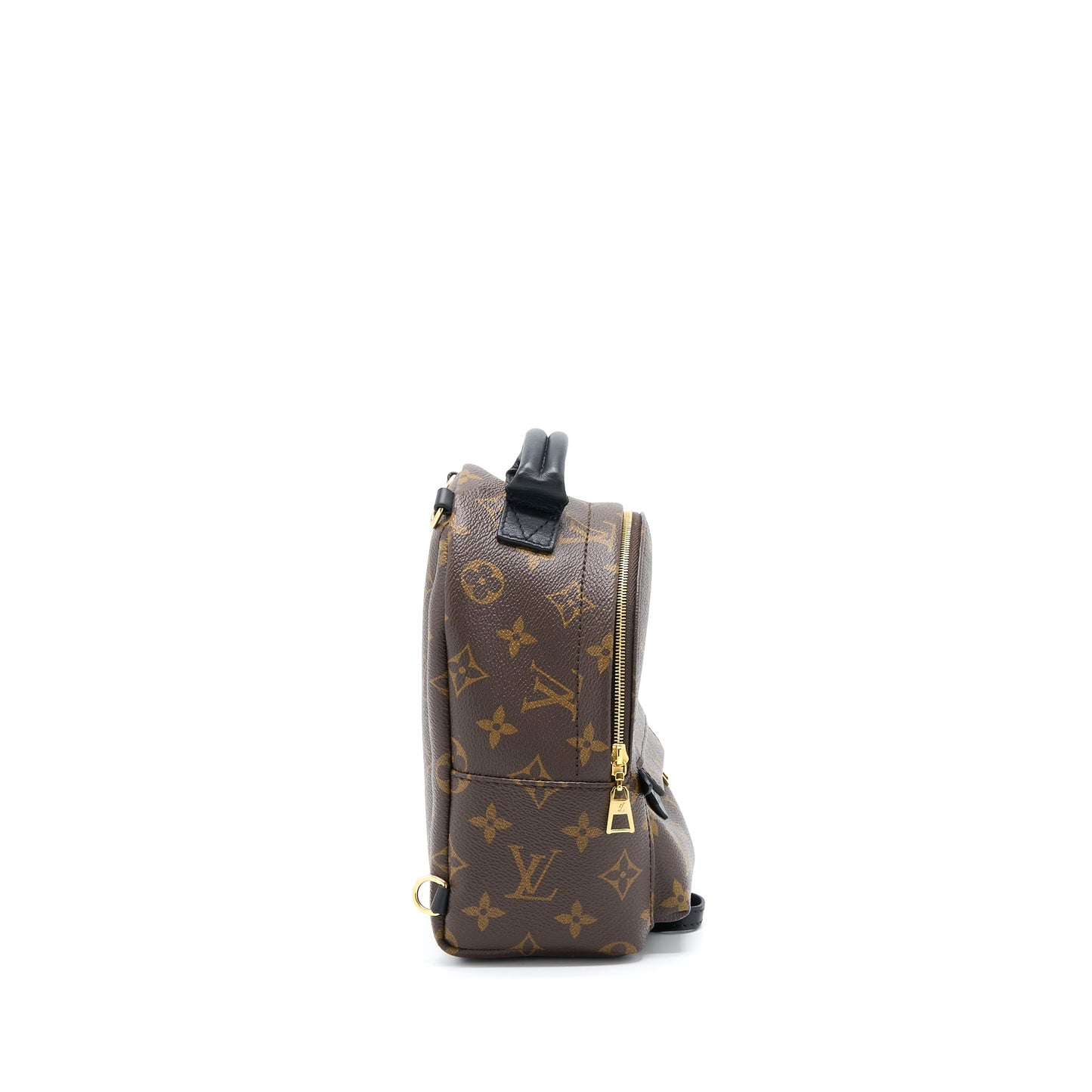 Louis Vuitton Palm Spring Mini Backpack Monogram Canvas
