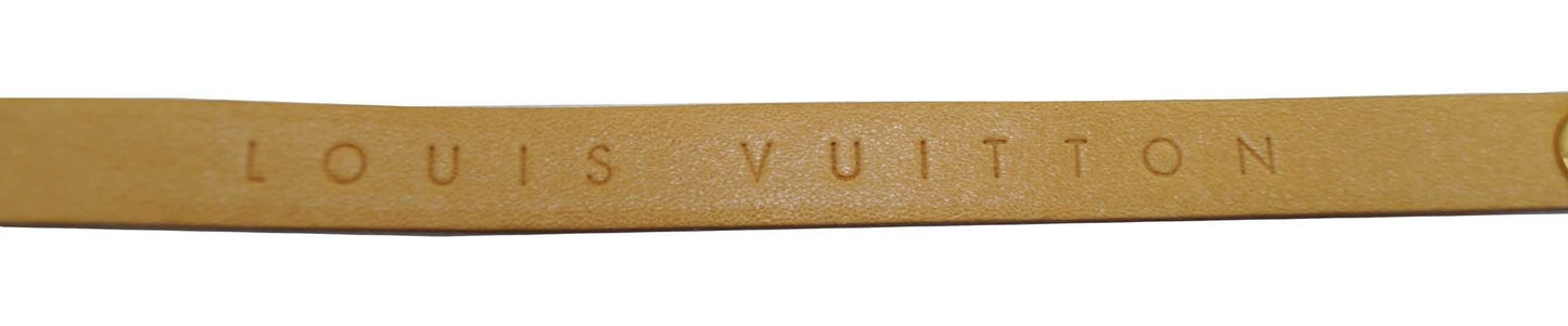 LOUIS VUITTON Monogram Canvas Pochette Florentine Bag