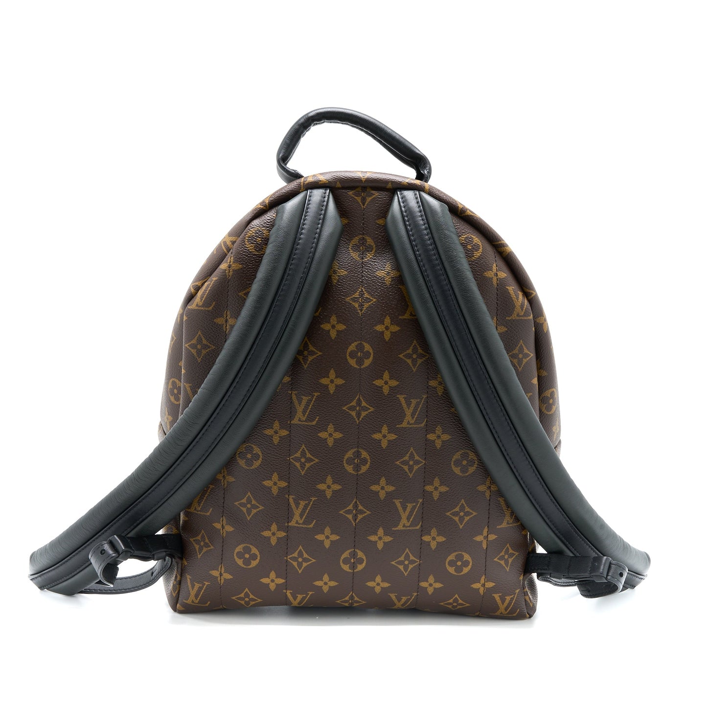 Louis Vuitton Palm Spring Backpack Monogram Canvas