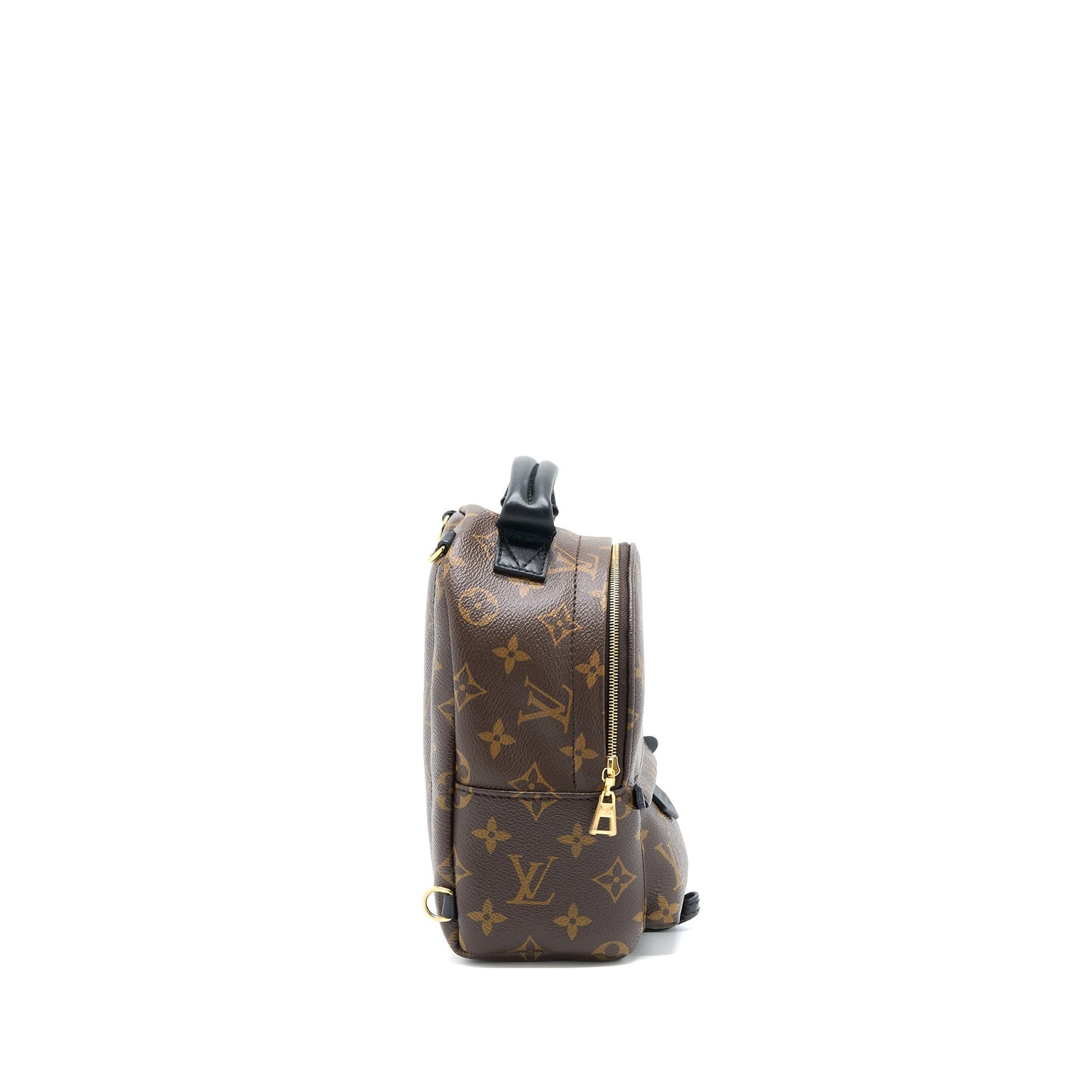 Louis Vuitton Mini Palm Spring Backpack Monogram Canvas
