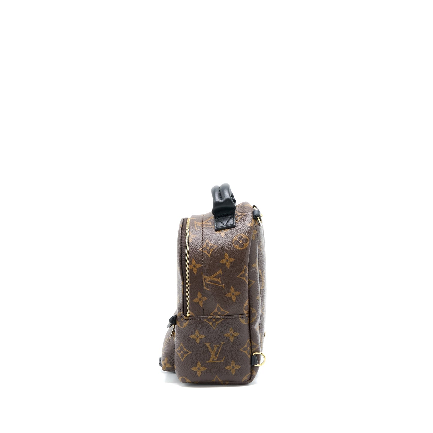 Louis Vuitton Mini Palm Spring Backpack Monogram Canvas
