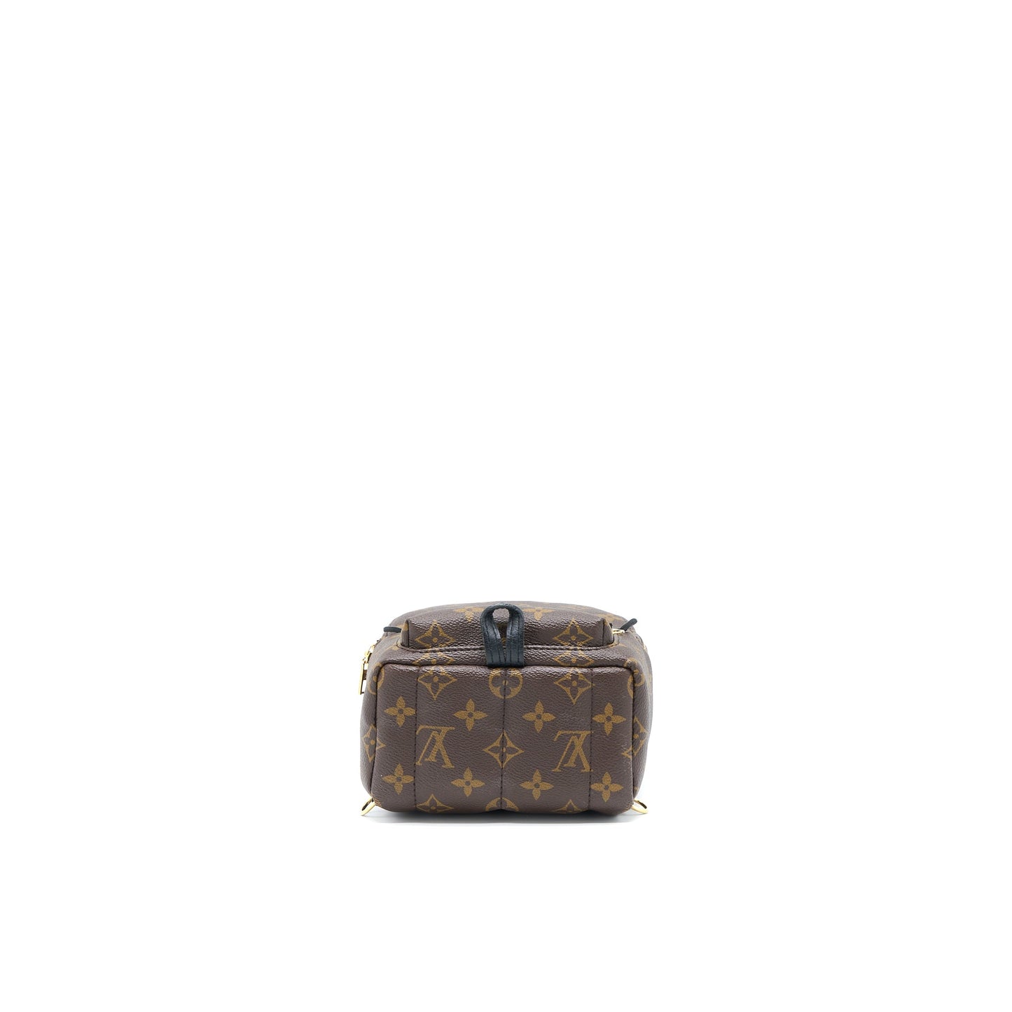 Louis Vuitton Mini Palm Spring Backpack Monogram Canvas