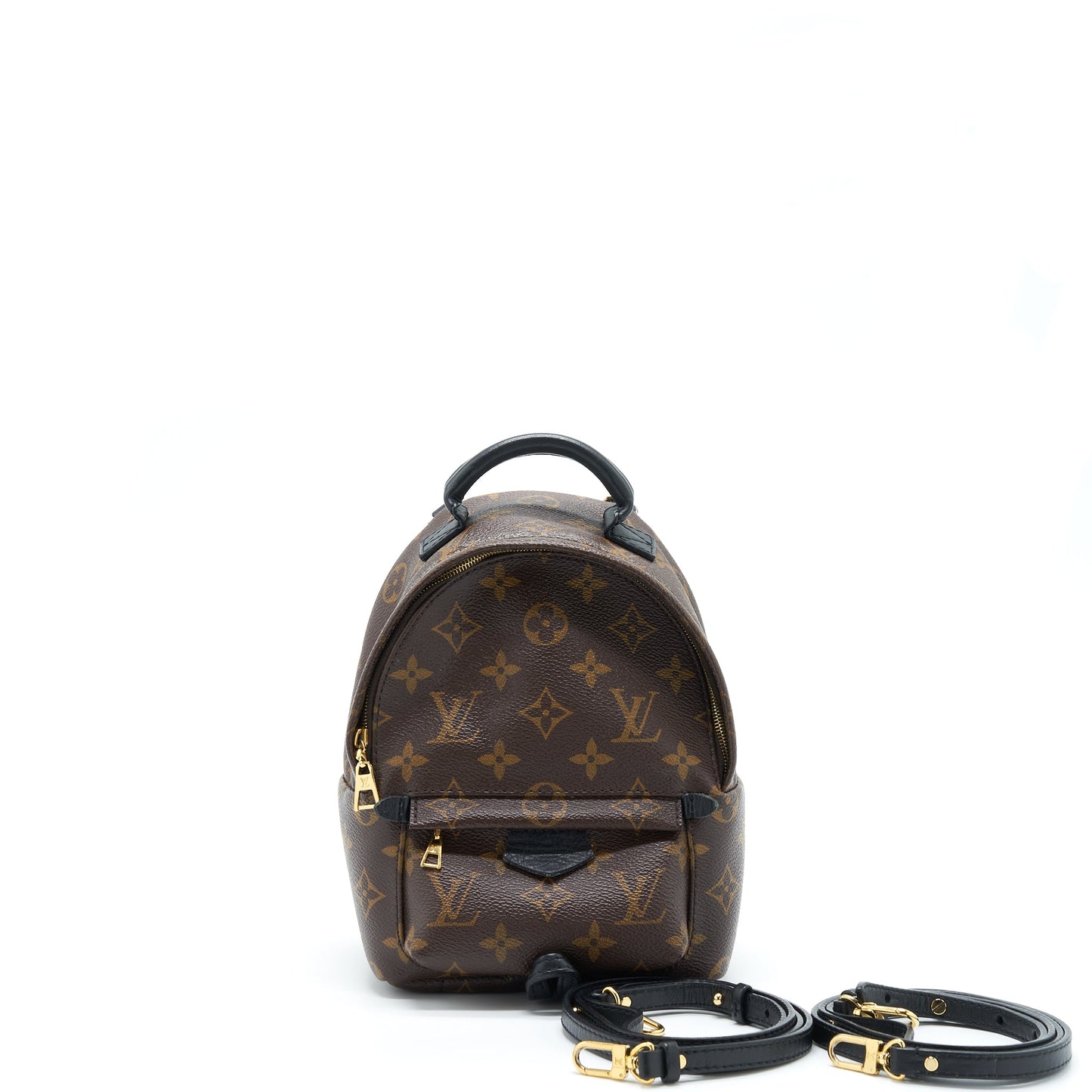 Louis Vuitton Palm Spring Mini Backpack Monogram Canvas