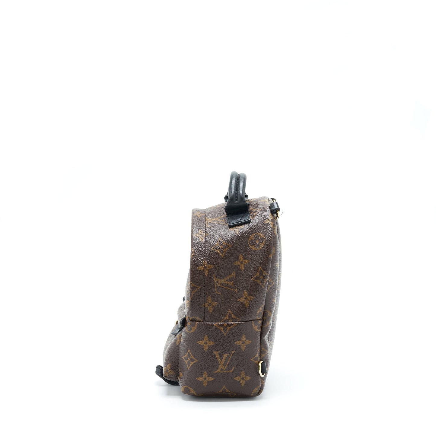 Louis Vuitton Palm Spring Mini Backpack Monogram Canvas