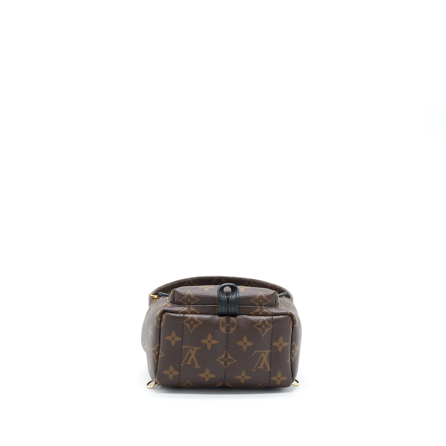 Louis Vuitton Palm Spring Mini Backpack Monogram Canvas