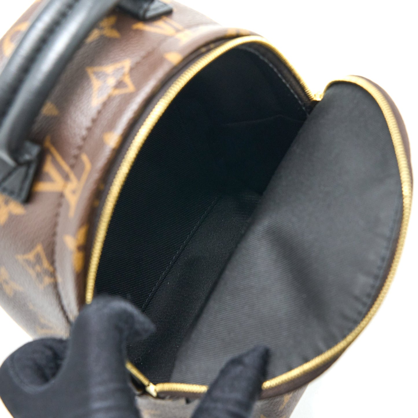 Louis Vuitton Palm Spring Mini Backpack Monogram Canvas