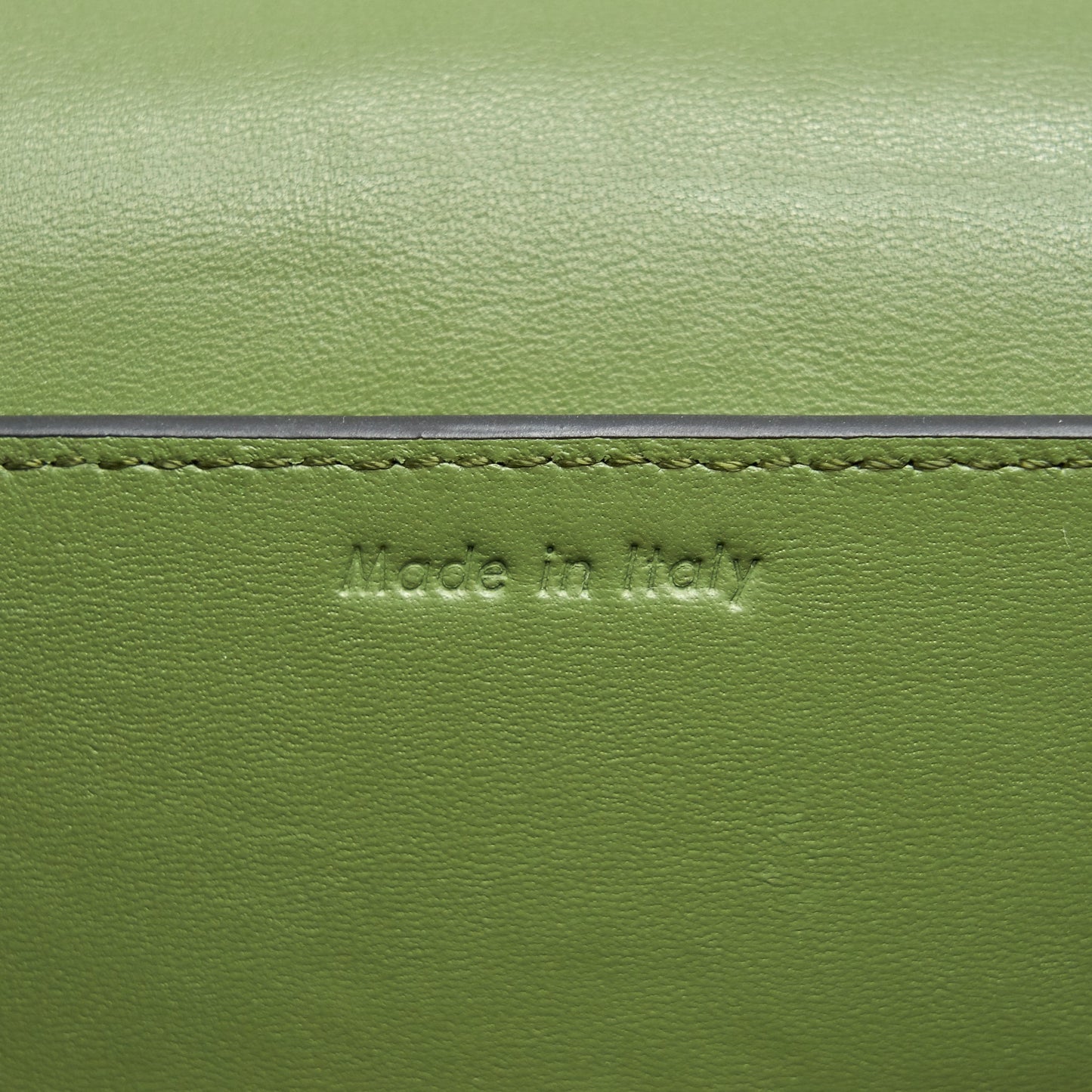 Celine Frame Bag Shoulder Bag Green