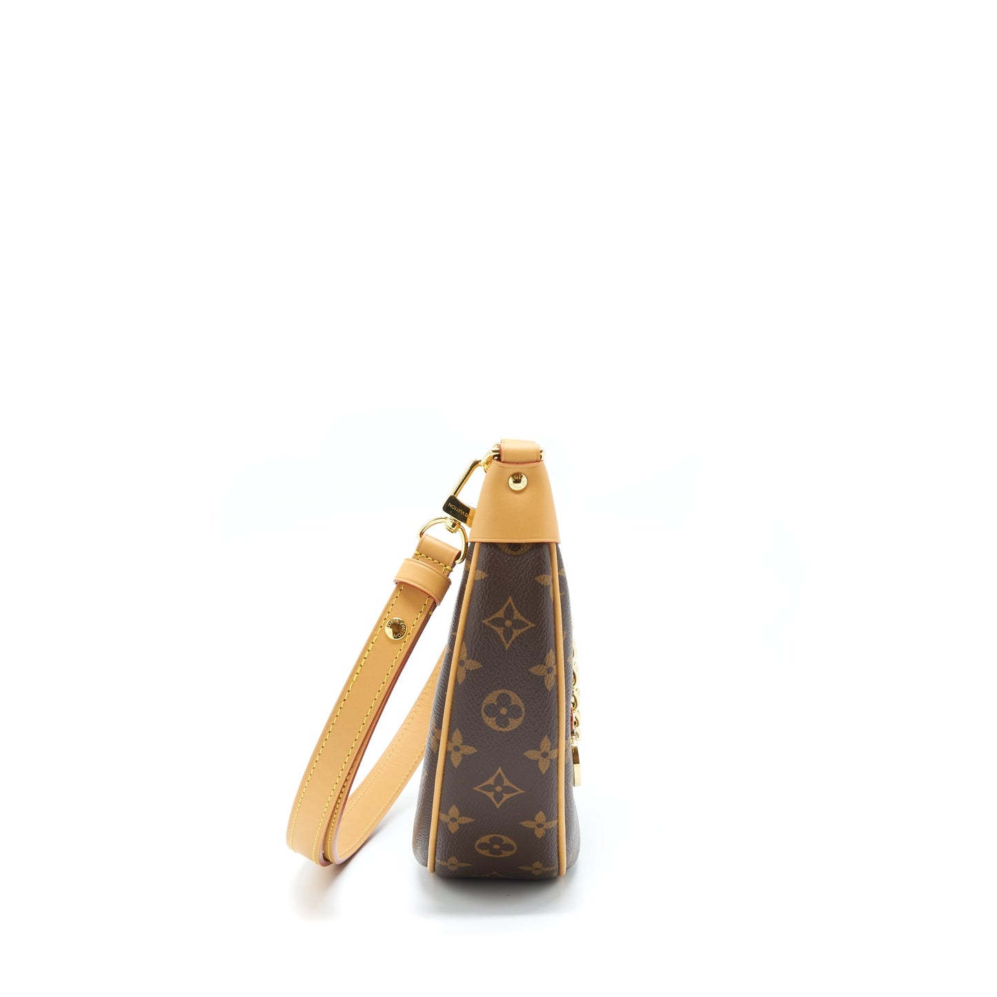 Louis Vuitton Loop Purse Monogram Canvas