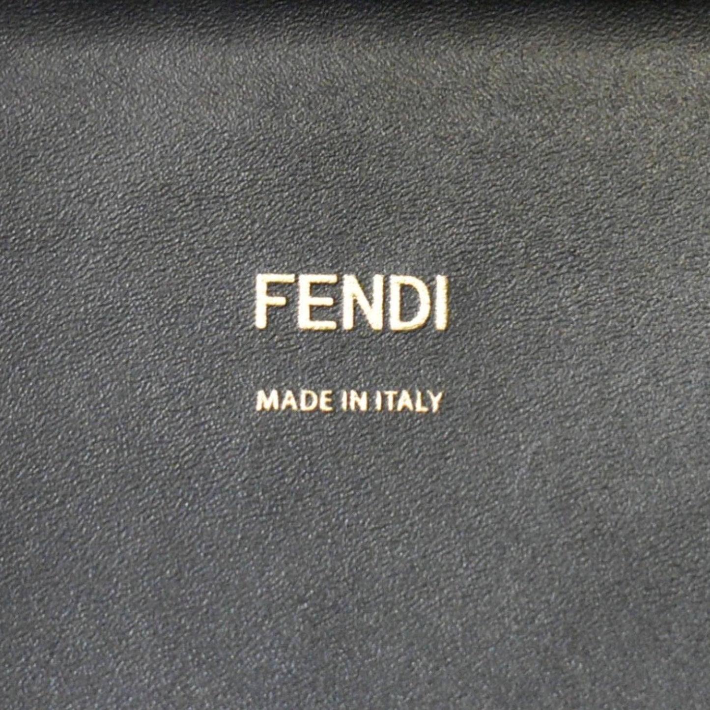 FENDI Sunshine Plexiglass Medium Leather Shopper Tote Bag Black
