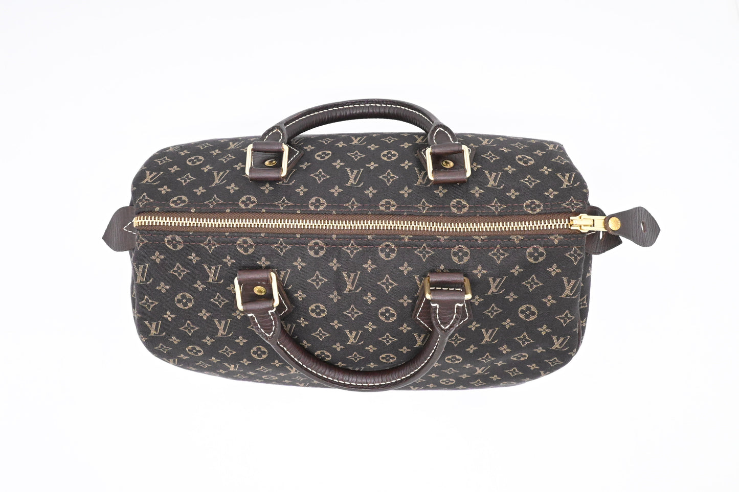Louis Vuitton Speedy 30 in Fusain Minilin Canvas