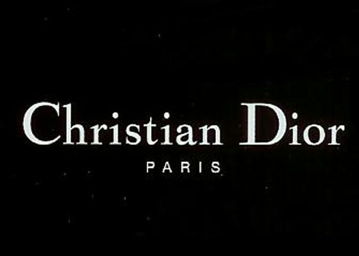 DIOR Satin Bee Karung Clutch