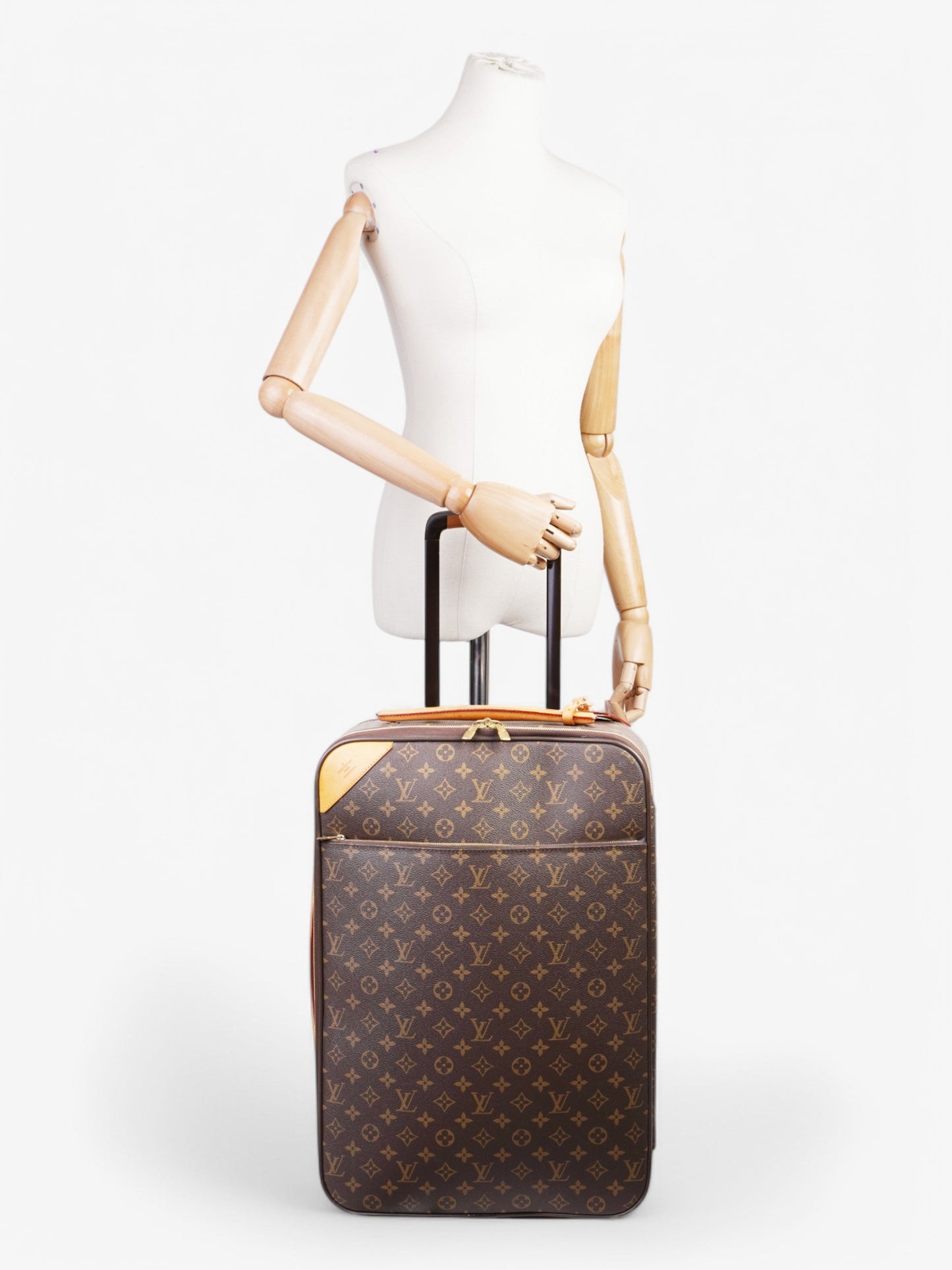 Louis Vuitton Pegas Monogram Coated Canvas
