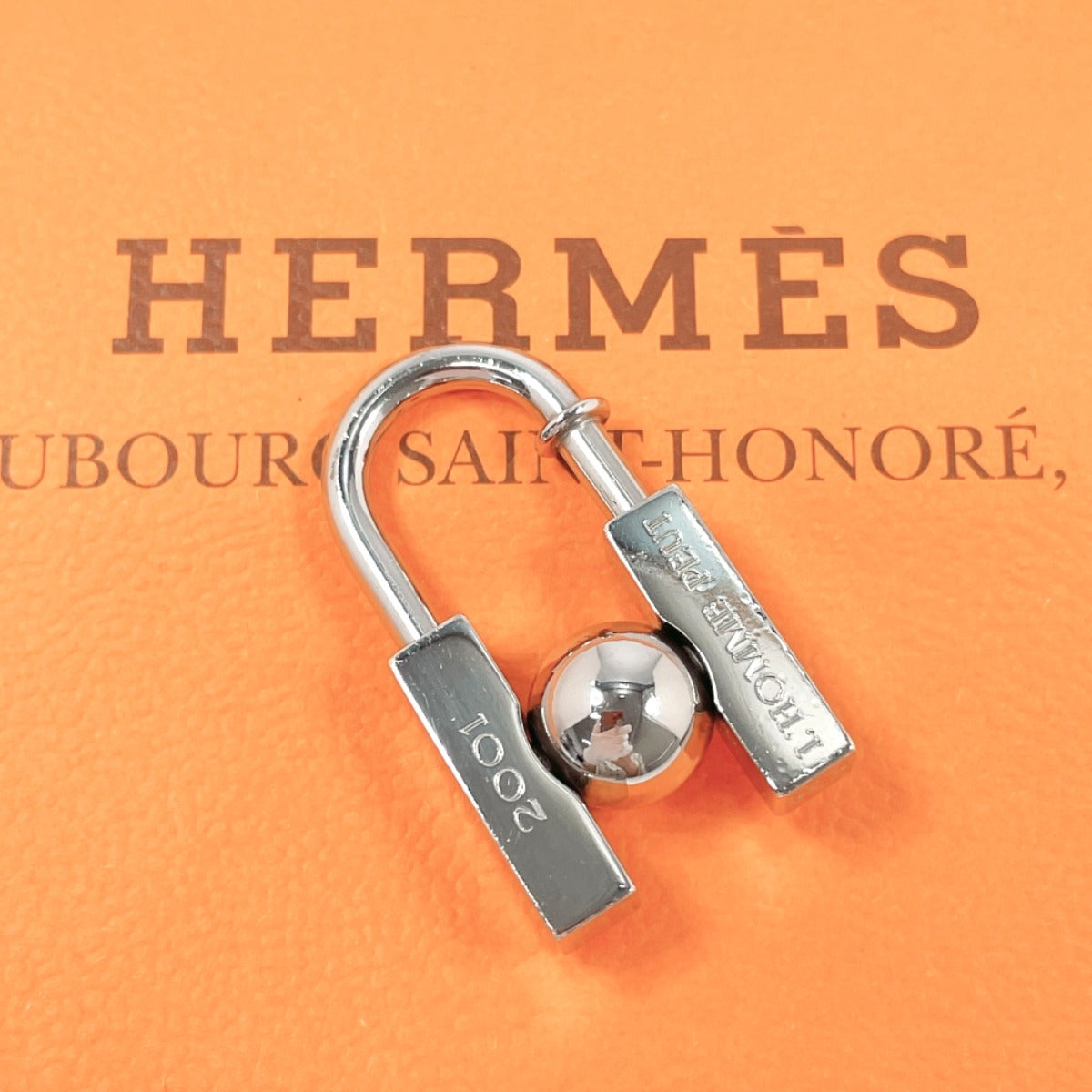 HERMES Cadena metal Silver 2001 Limited In search of the unknown beauty of the earth