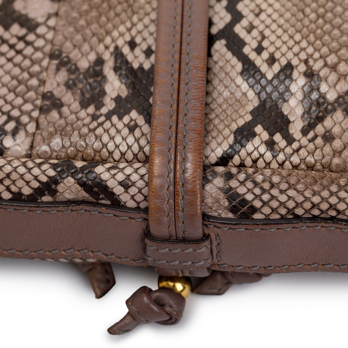 Gucci Neutrals Python Bamboo Croisette Evening Bag