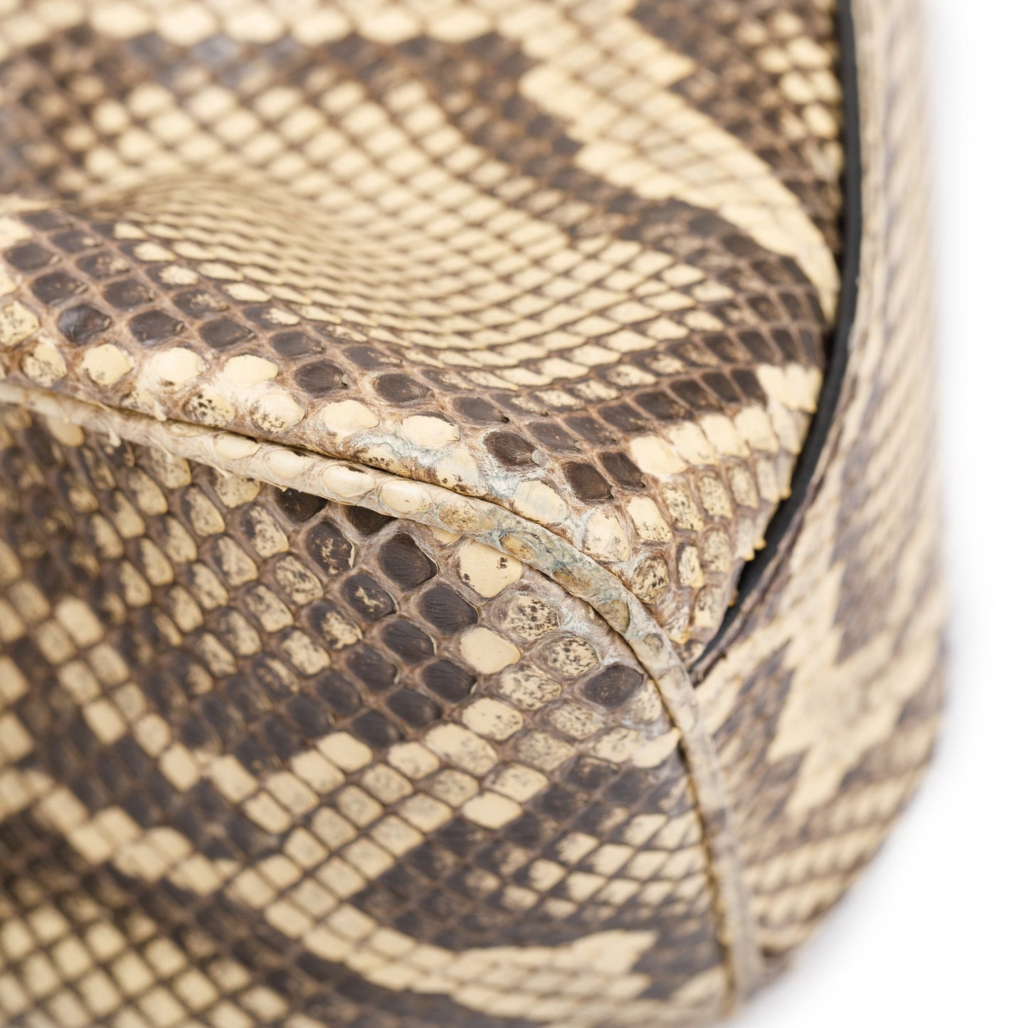 Gucci Neutrals Python Medium RE(Belle) Shoulder Bag