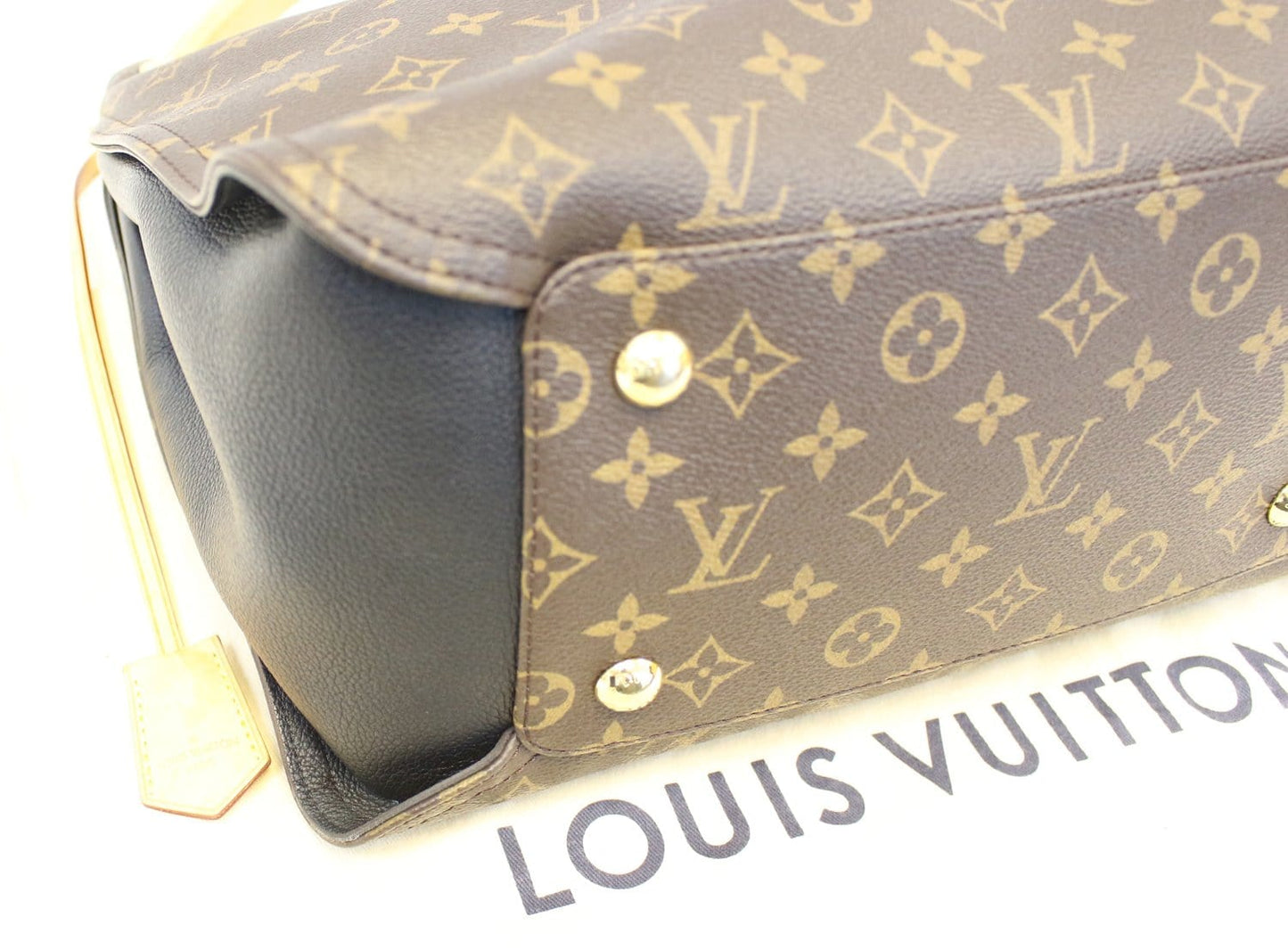 LOUIS VUITTON Monogram Canvas Gaïa Black Shoulder Bag