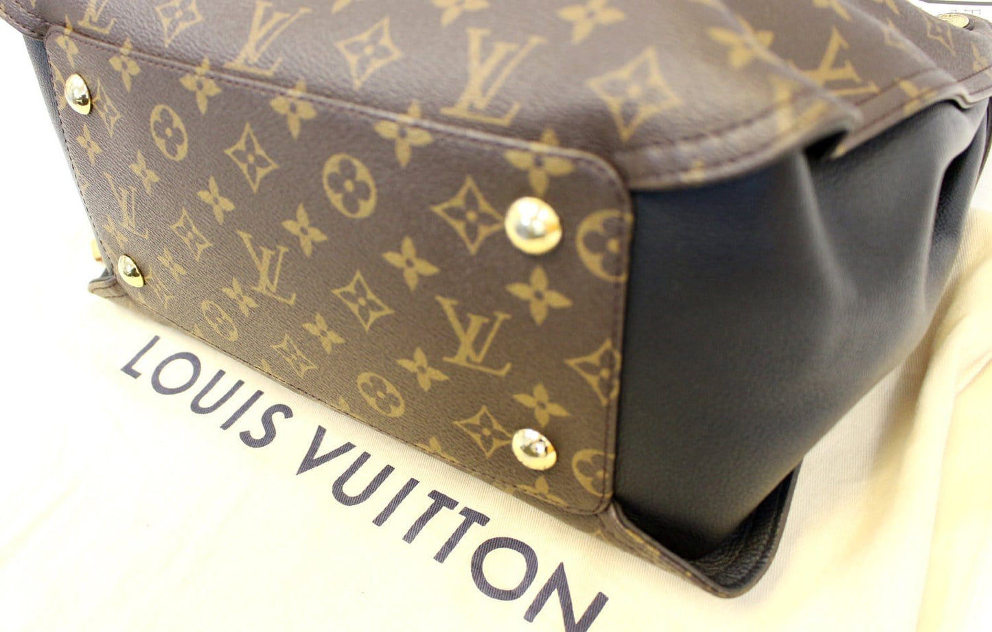 LOUIS VUITTON Monogram Canvas Gaïa Black Shoulder Bag