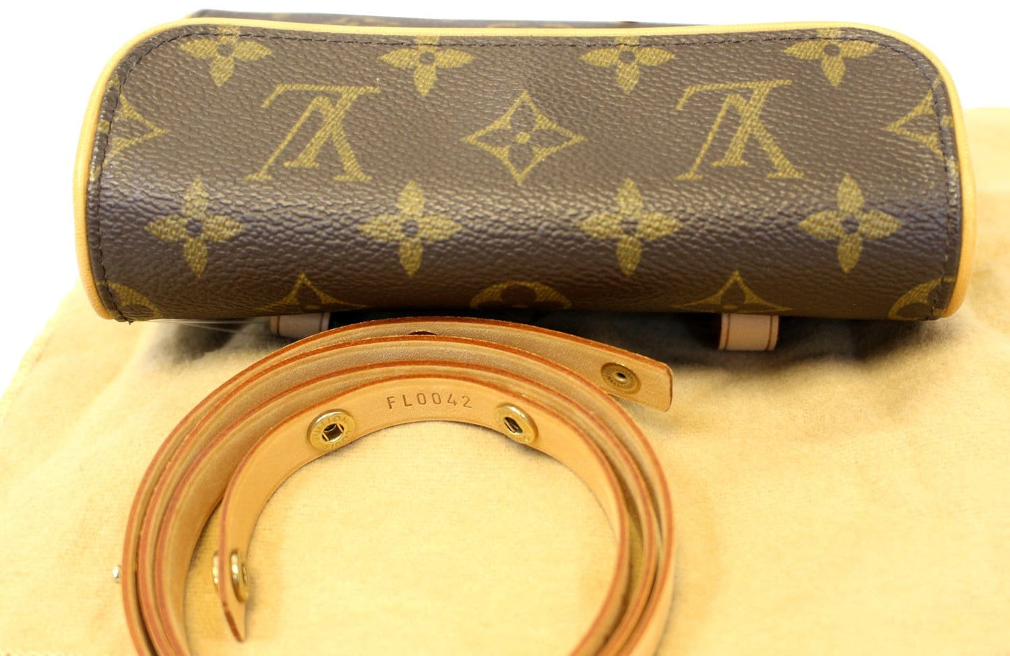 LOUIS VUITTON Monogram Canvas Pochette Florentine Bag