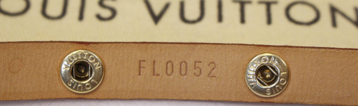LOUIS VUITTON Monogram Canvas Pochette Florentine Bag