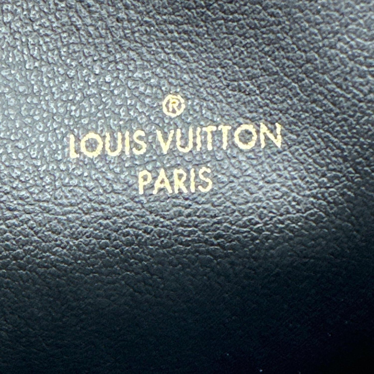 LOUIS VUITTON Felicie Monogram Giant Empreinte Leather Zip Insert Pouch Bicolor