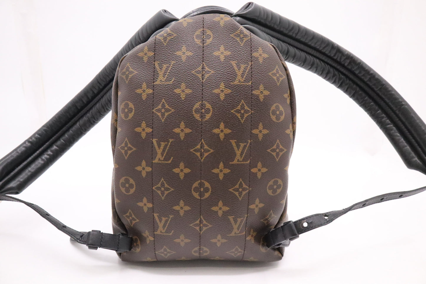 Louis Vuitton Palm Springs PM in Monogram Canvas