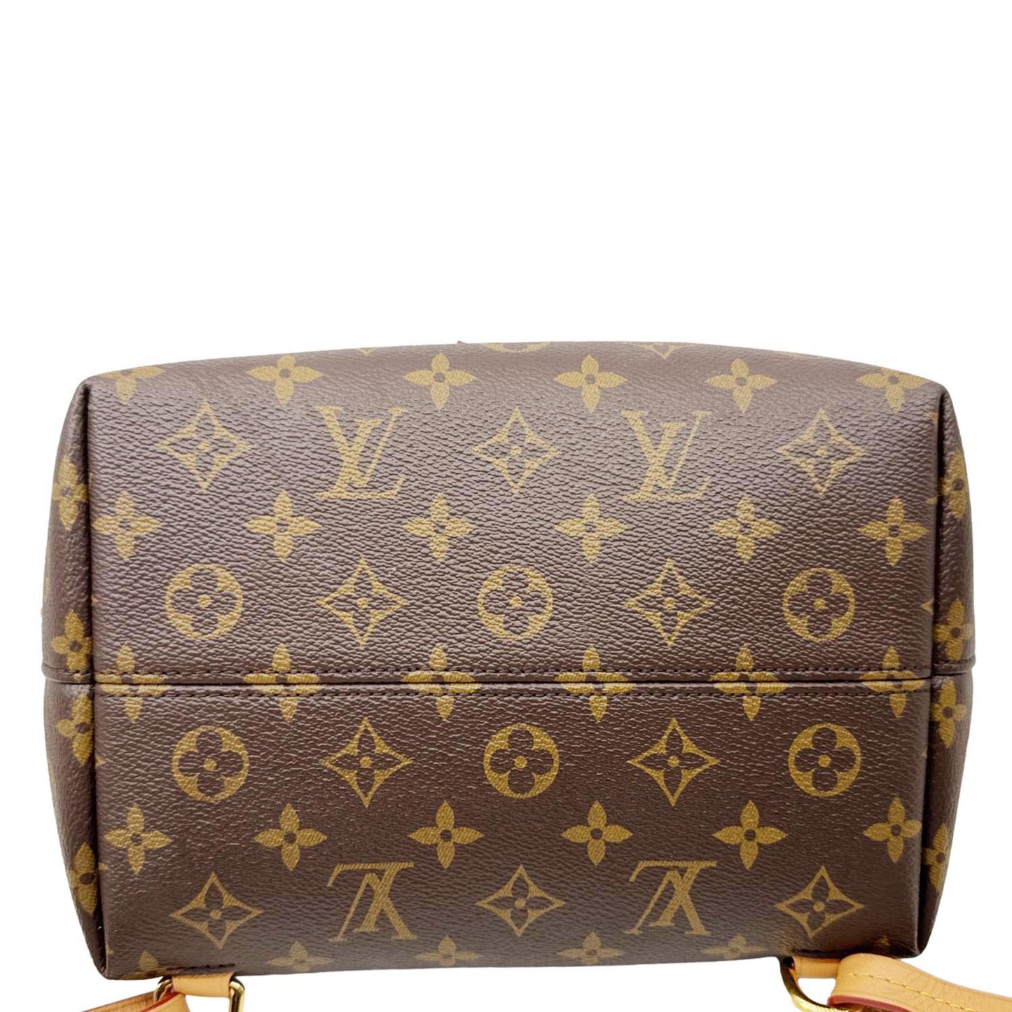 LOUIS VUITTON Montsouris PM Monogram Canvas Backpack Brown