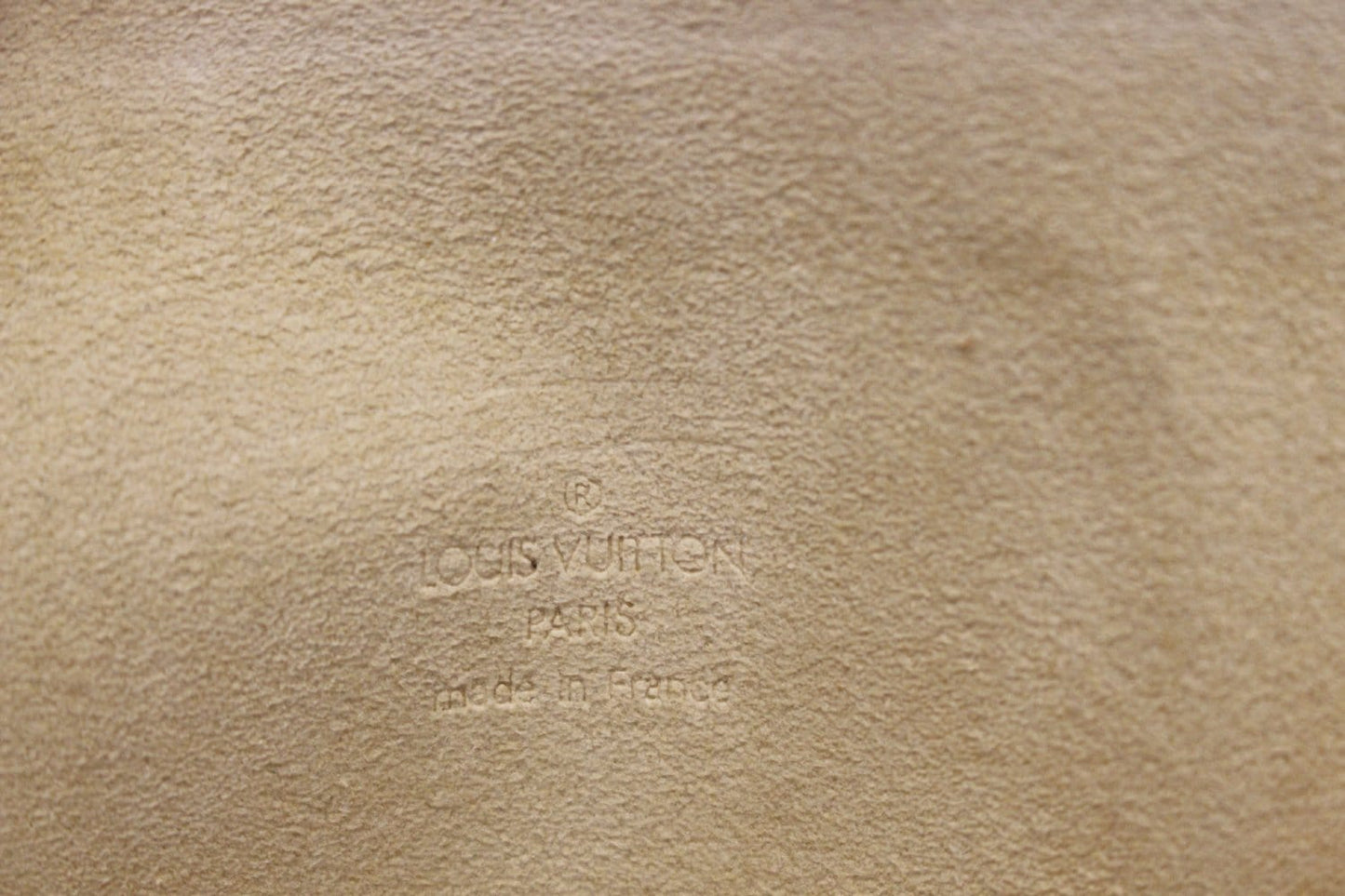 LOUIS VUITTON Monogram Canvas Pochette Florentine Bag