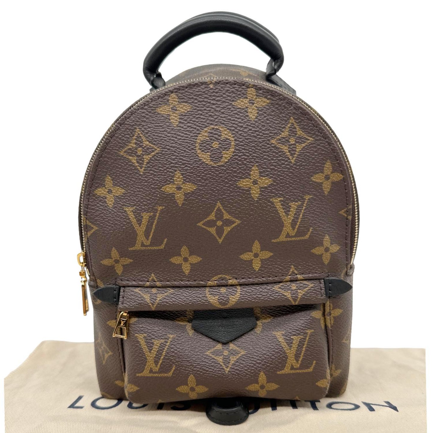 LOUIS VUITTON Palm Spring Mini  Monogram Canvas Backpack Brown