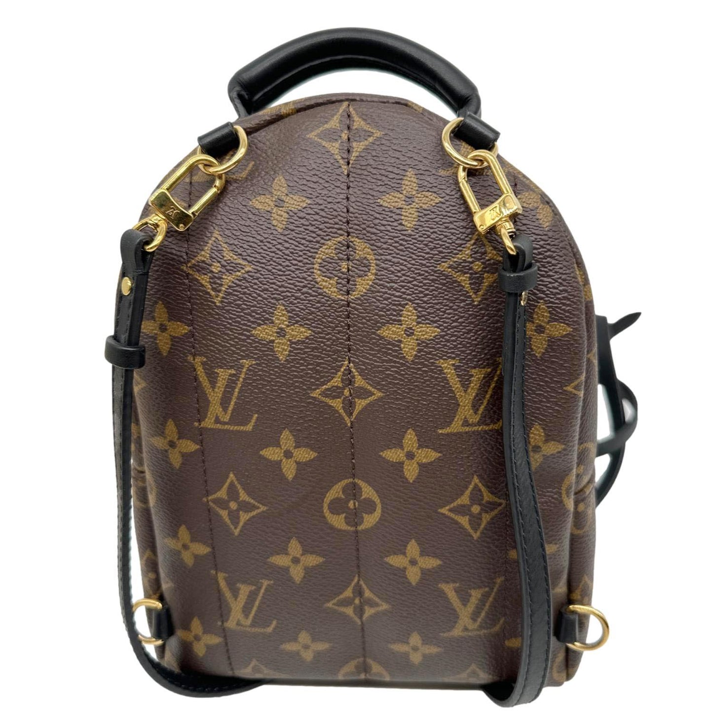 LOUIS VUITTON Palm Spring Mini  Monogram Canvas Backpack Brown