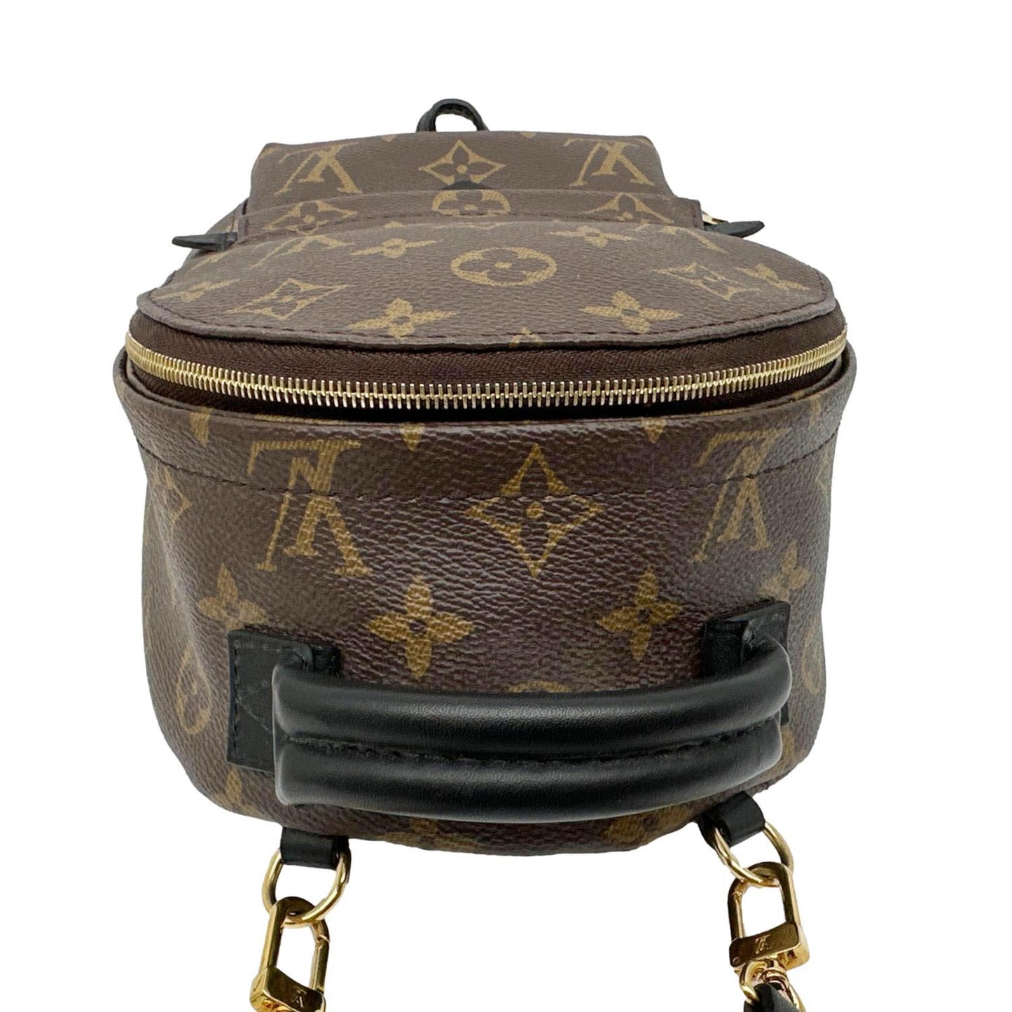 LOUIS VUITTON Palm Spring Mini  Monogram Canvas Backpack Brown