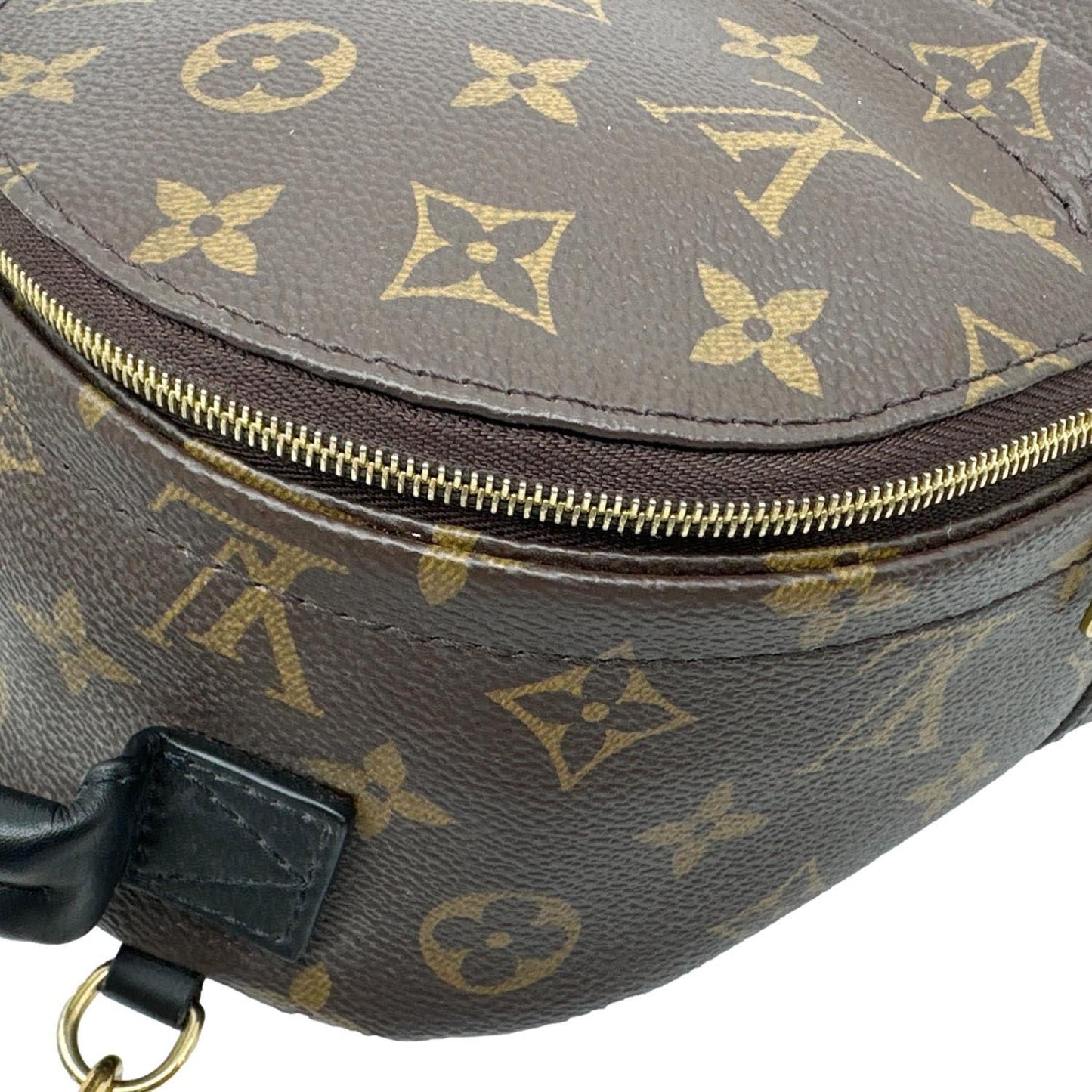 LOUIS VUITTON Palm Spring Mini  Monogram Canvas Backpack Brown