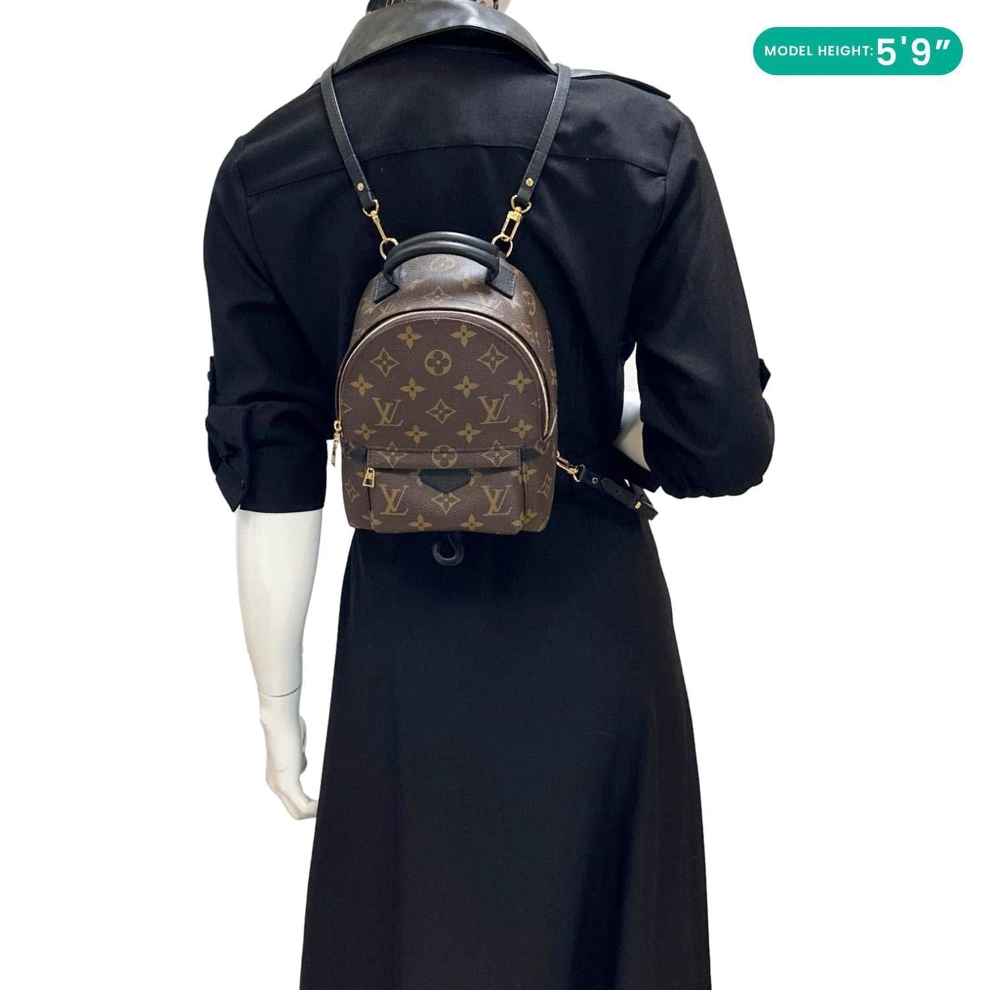 LOUIS VUITTON Palm Spring Mini  Monogram Canvas Backpack Brown