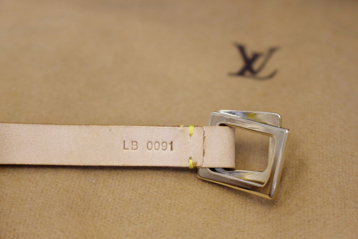LOUIS VUITTON Monogram Canvas Pochette Florentine Bag