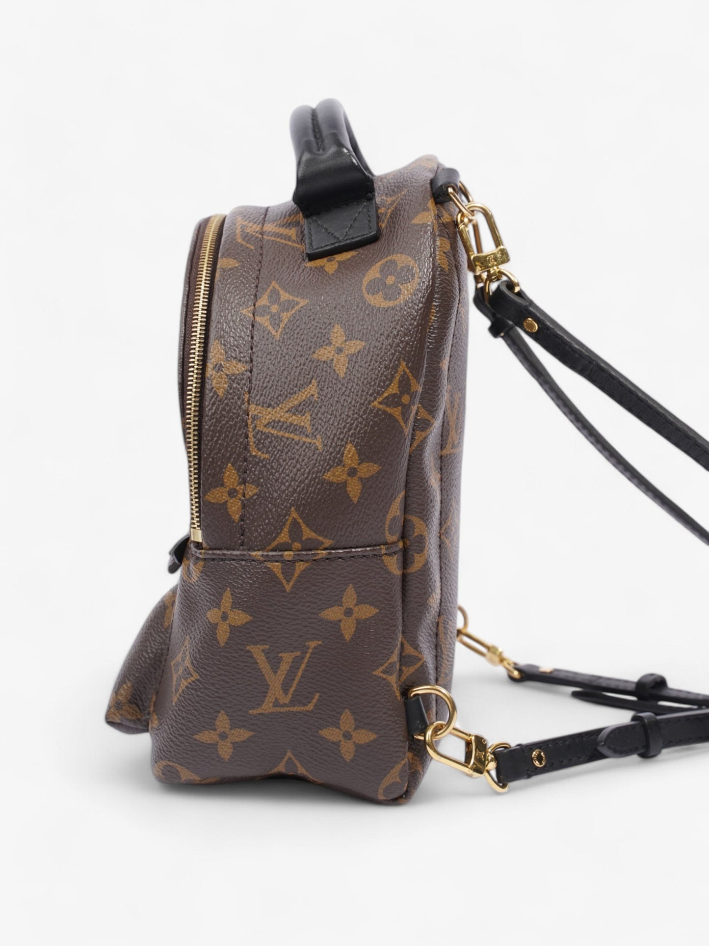 Louis Vuitton Palm Springs Monogram / Black Canvas Mini