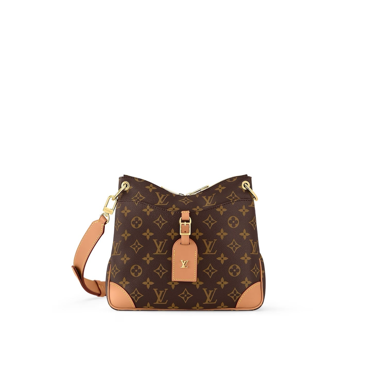 LOUIS VUITTON MONOGRAM ODÃON PM BAG