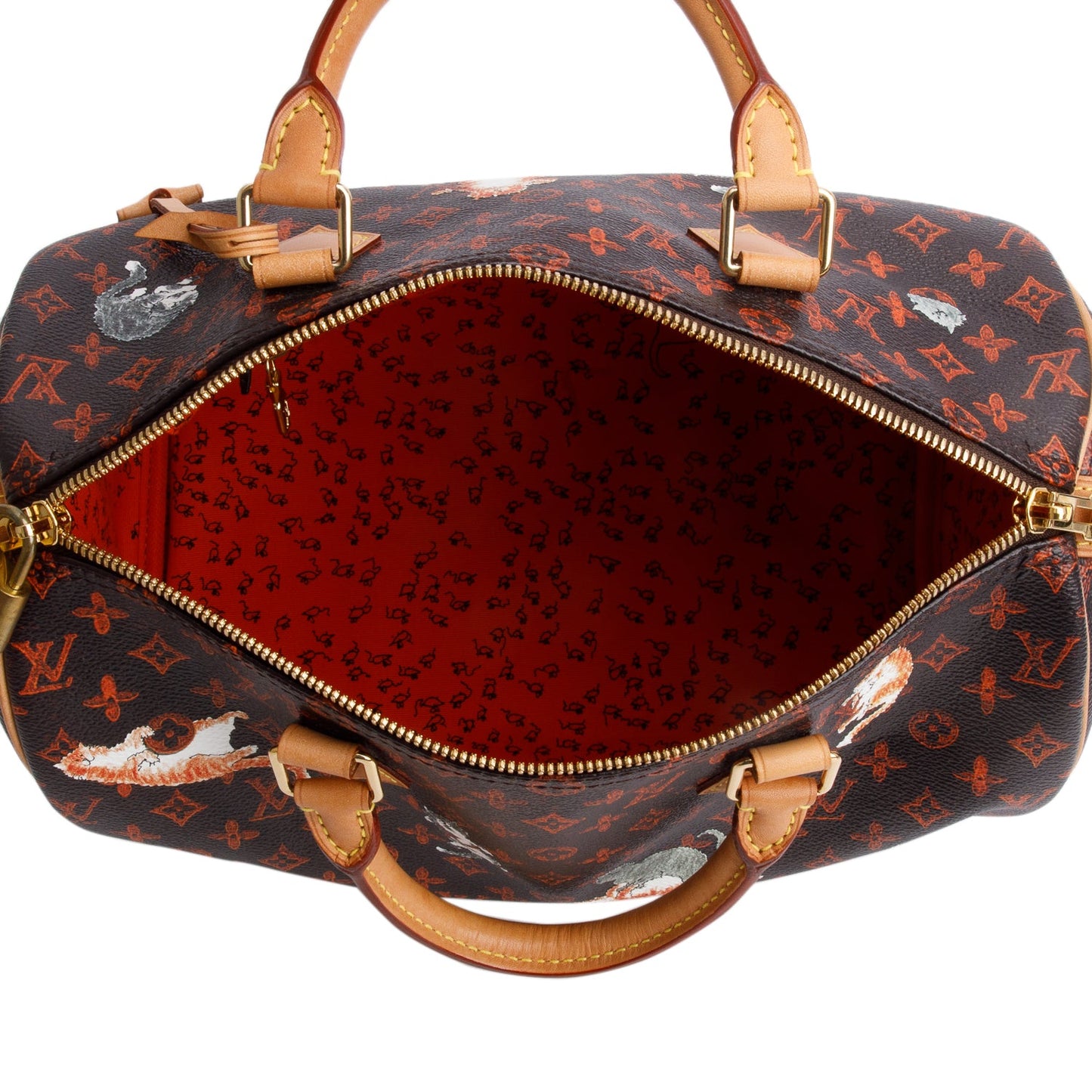 Louis Vuitton Catogram Speedy 30 Bandouliere