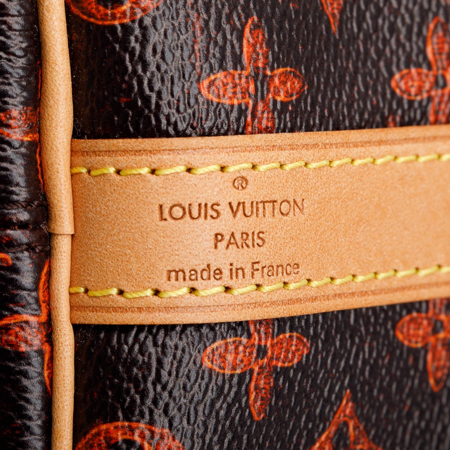 Louis Vuitton Catogram Speedy 30 Bandouliere