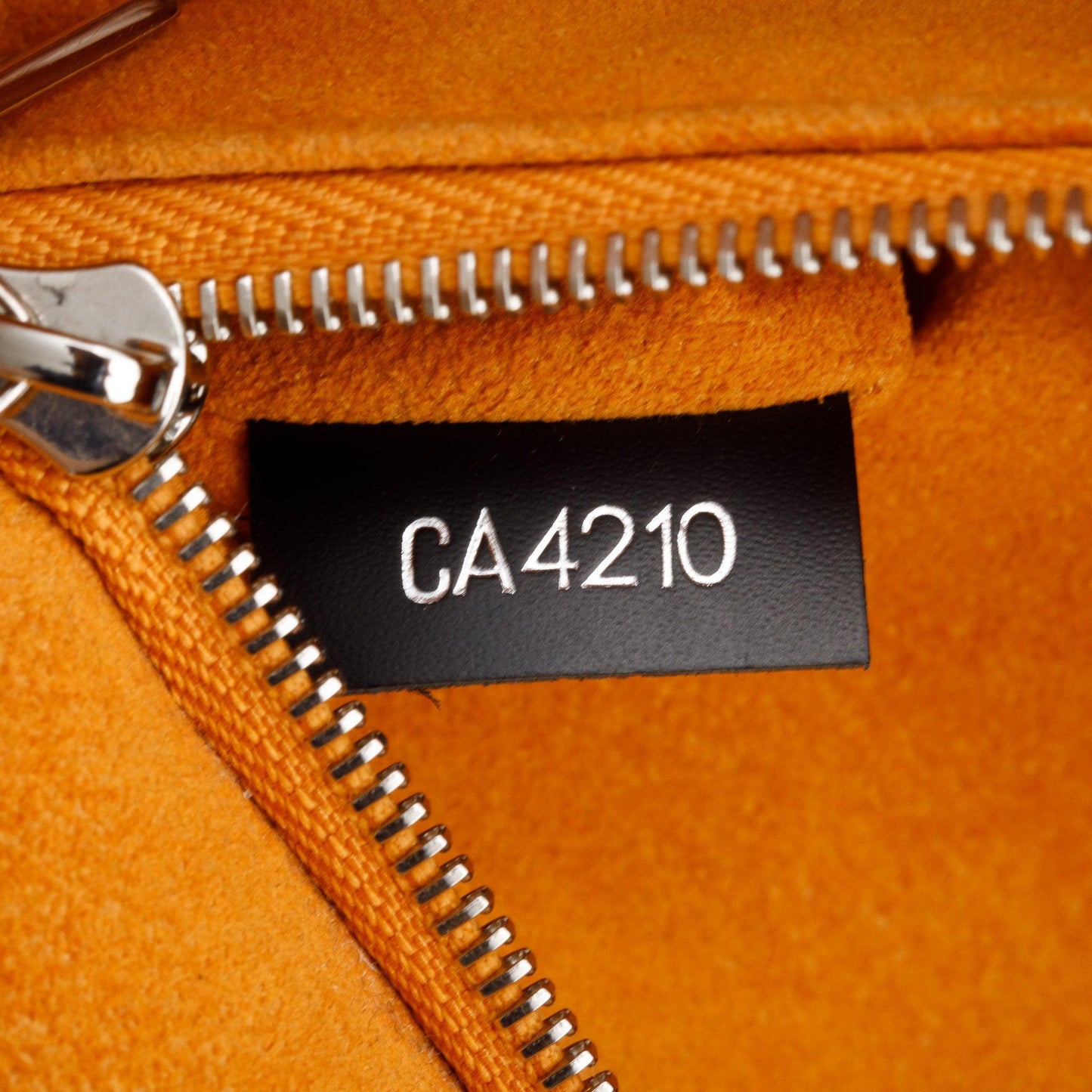Louis Vuitton 2020 Black Epi Leather Grenelle PM Bag