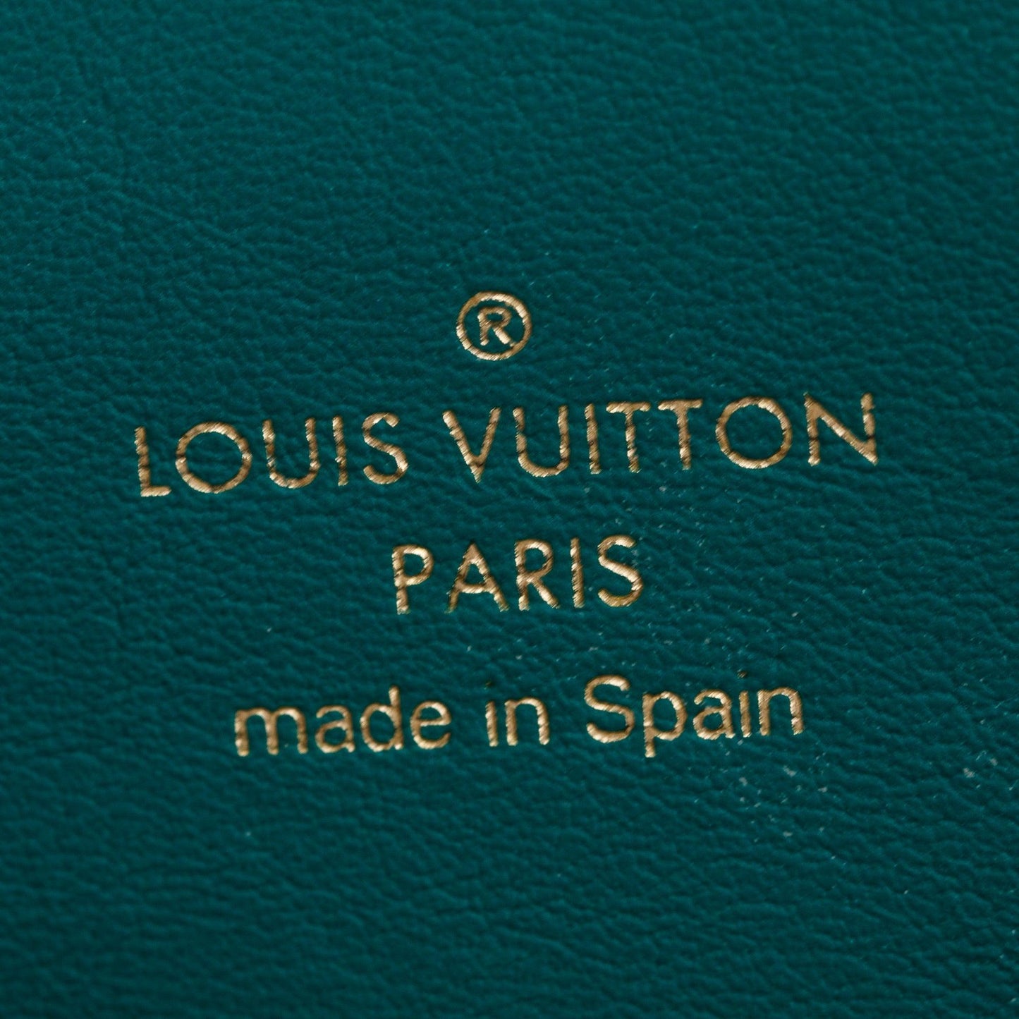 Louis Vuitton 2020 Green Veau Nuage Milla MM