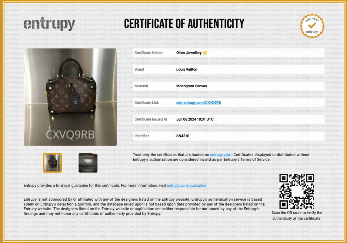 Louis Vuitton 2020 Monogram Black Calfskin Petite Malle Souple Bag