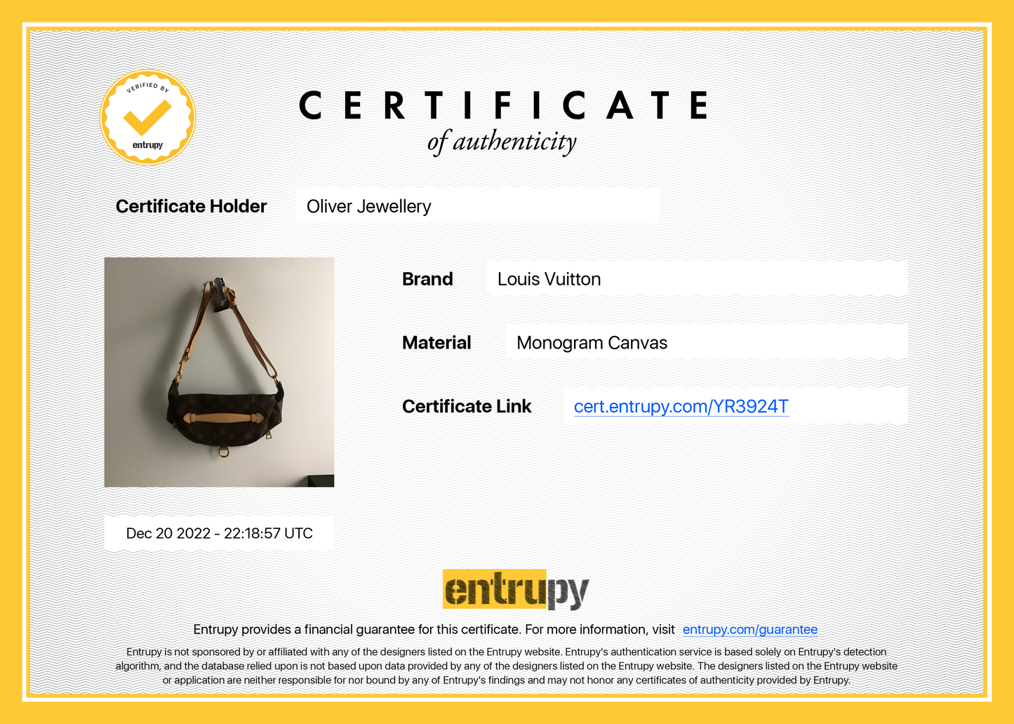 Louis Vuitton 2020 Monogram Bumbag MM