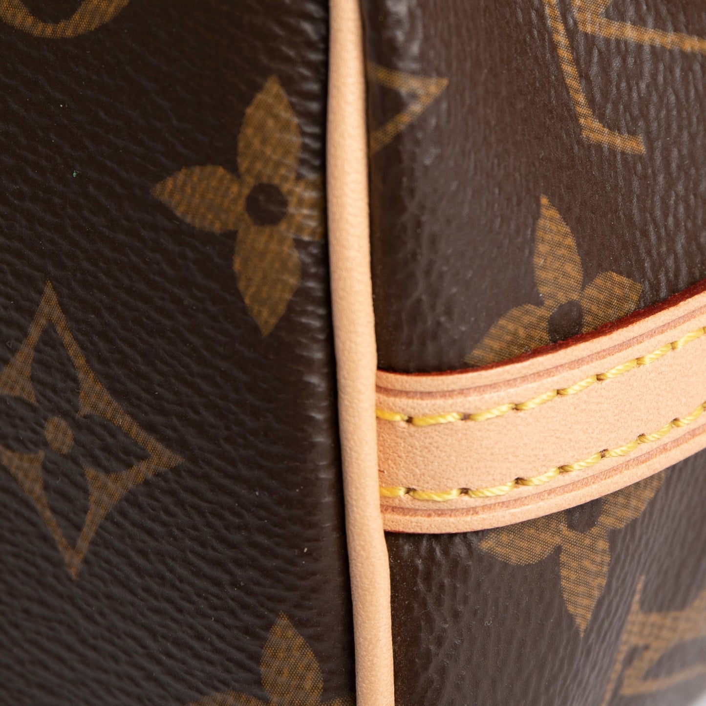 Louis Vuitton 2020 Monogram Nano Noe Bag