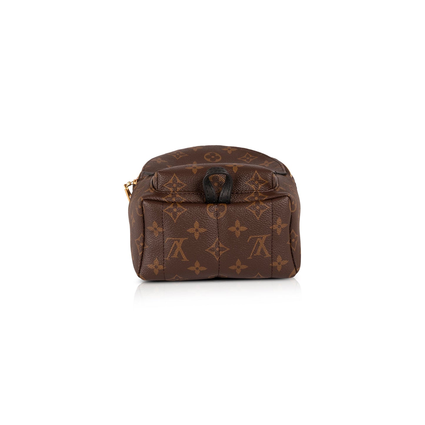 Louis Vuitton 2020 Monogram Palm Springs Mini Backpack