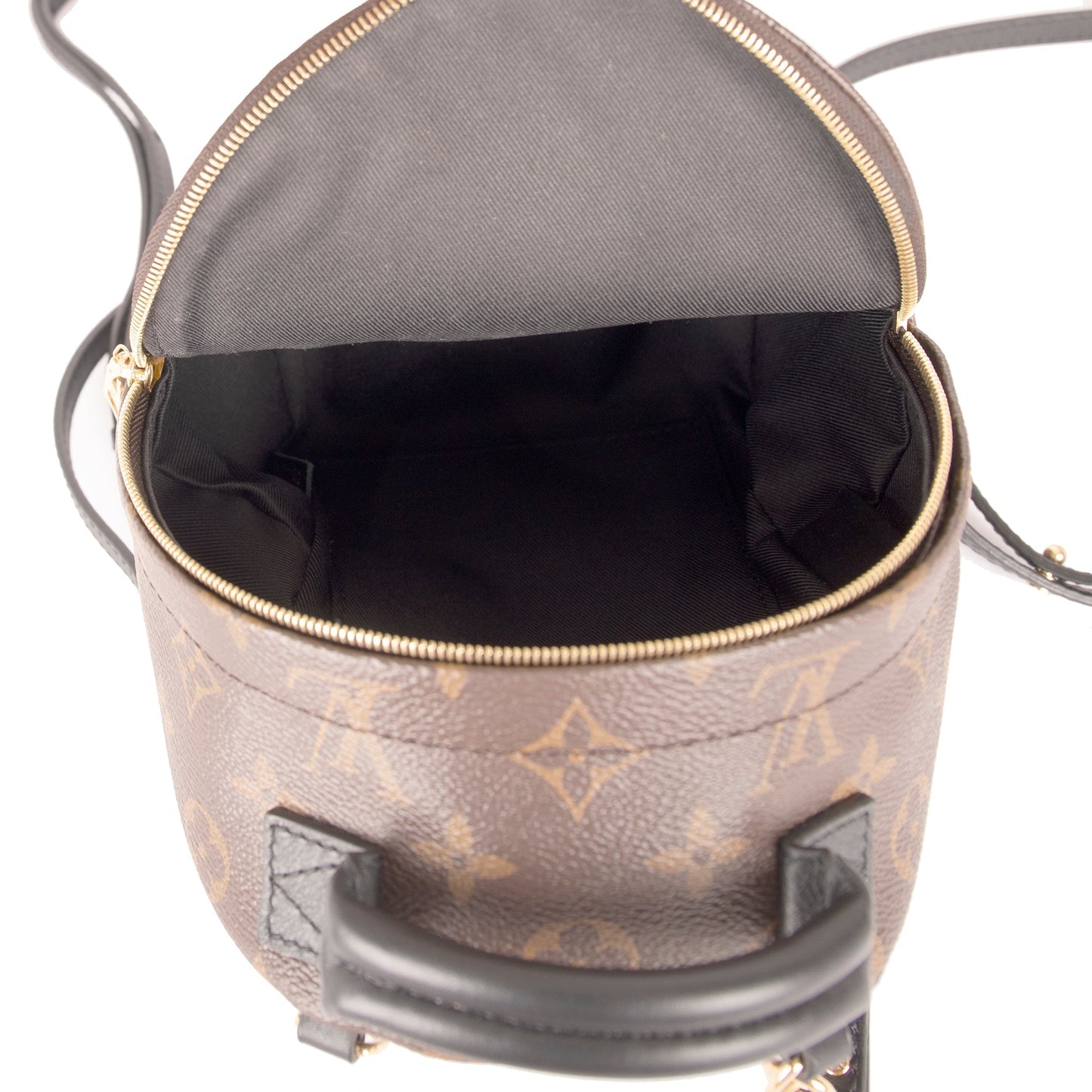 Louis Vuitton 2020 Monogram Palm Springs Mini Backpack